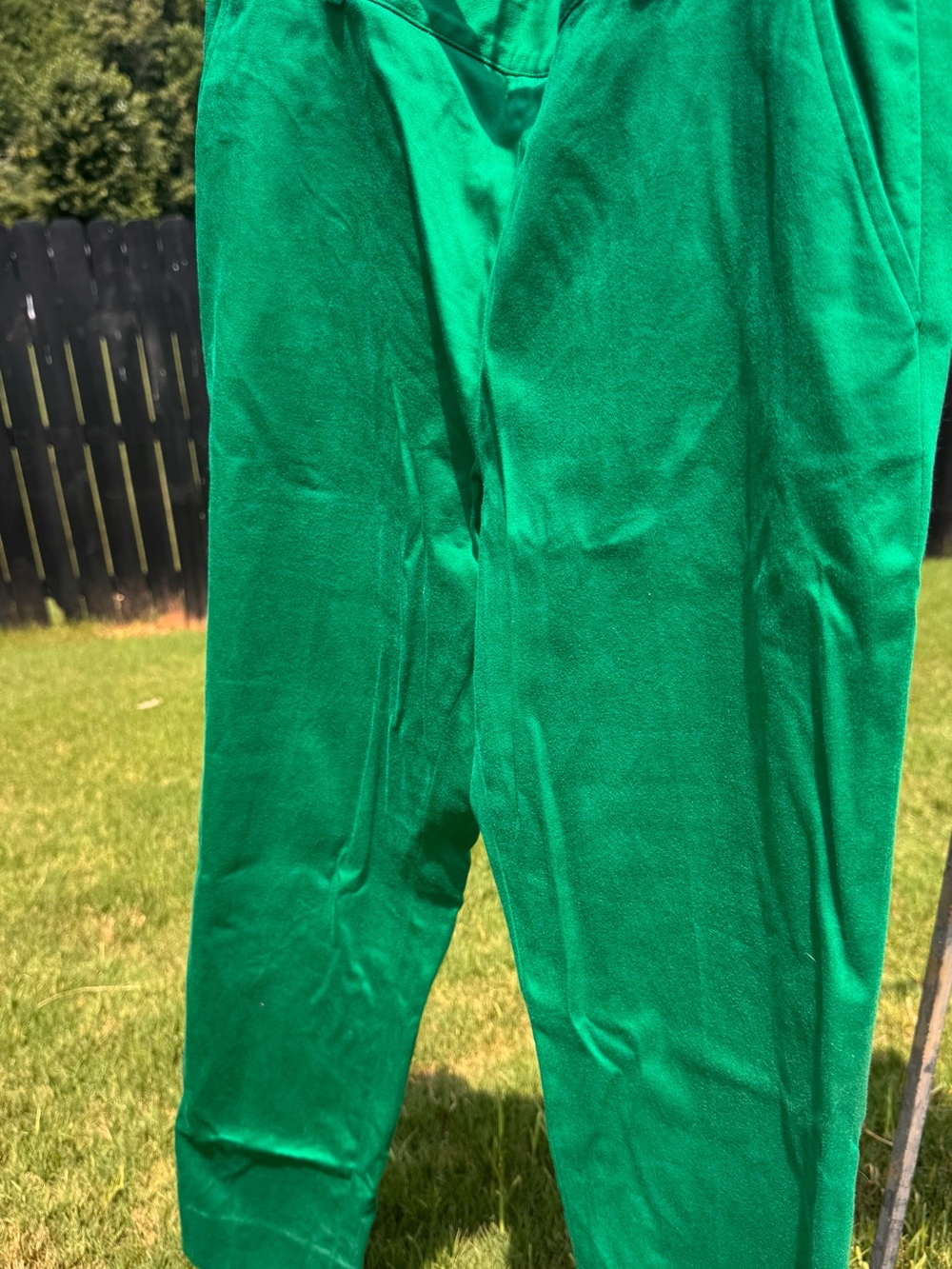 Lauren Ralph Lauren Bright Green pants